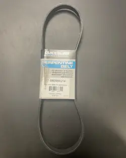 Quicksilver Belt-Serpentine
