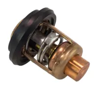 Yamaha Termostat 9,9D-55B